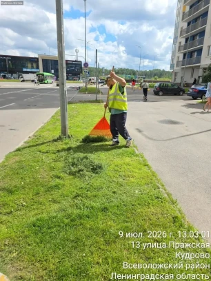 Отчёт по уборке в Заневском городском поселении