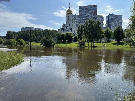 Стабилизация ситуации в парке «Оккервиль»