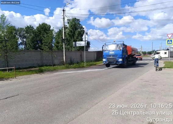 Отчёт по уборке в Заневском поселении