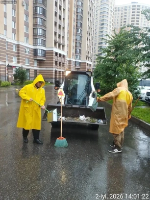 Отчёт по уборке в Заневском городском поселении