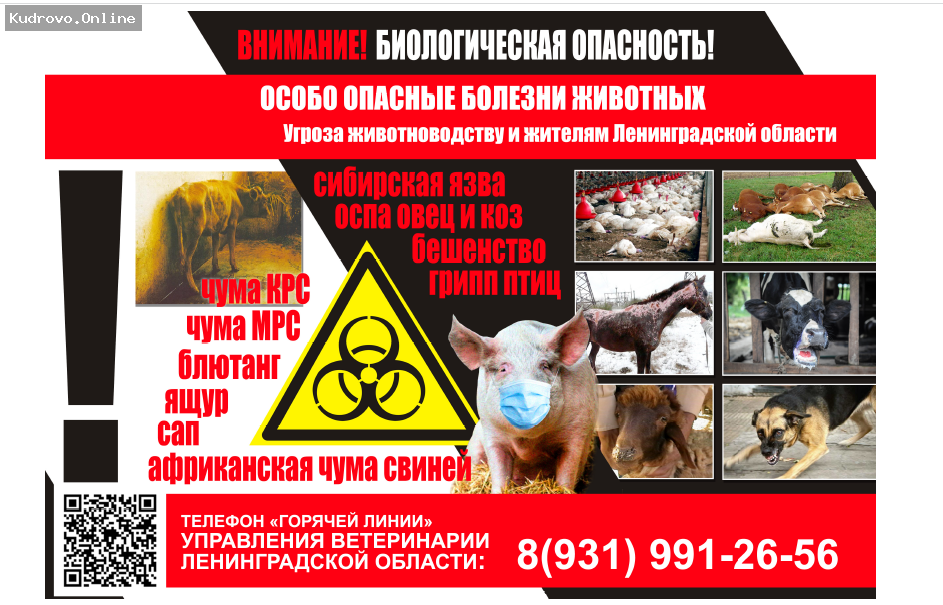 Борьба с особо опасными болезнями животных