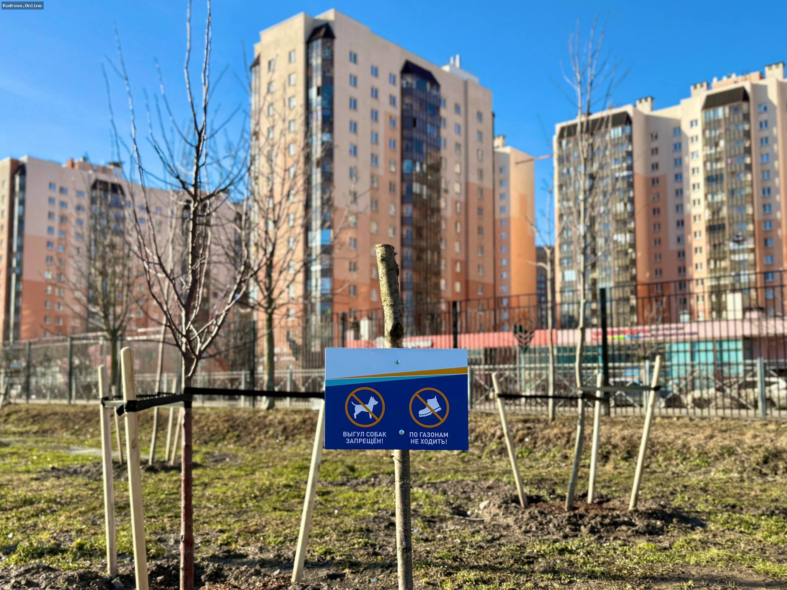 Парки Кудрово не уходят на просушку